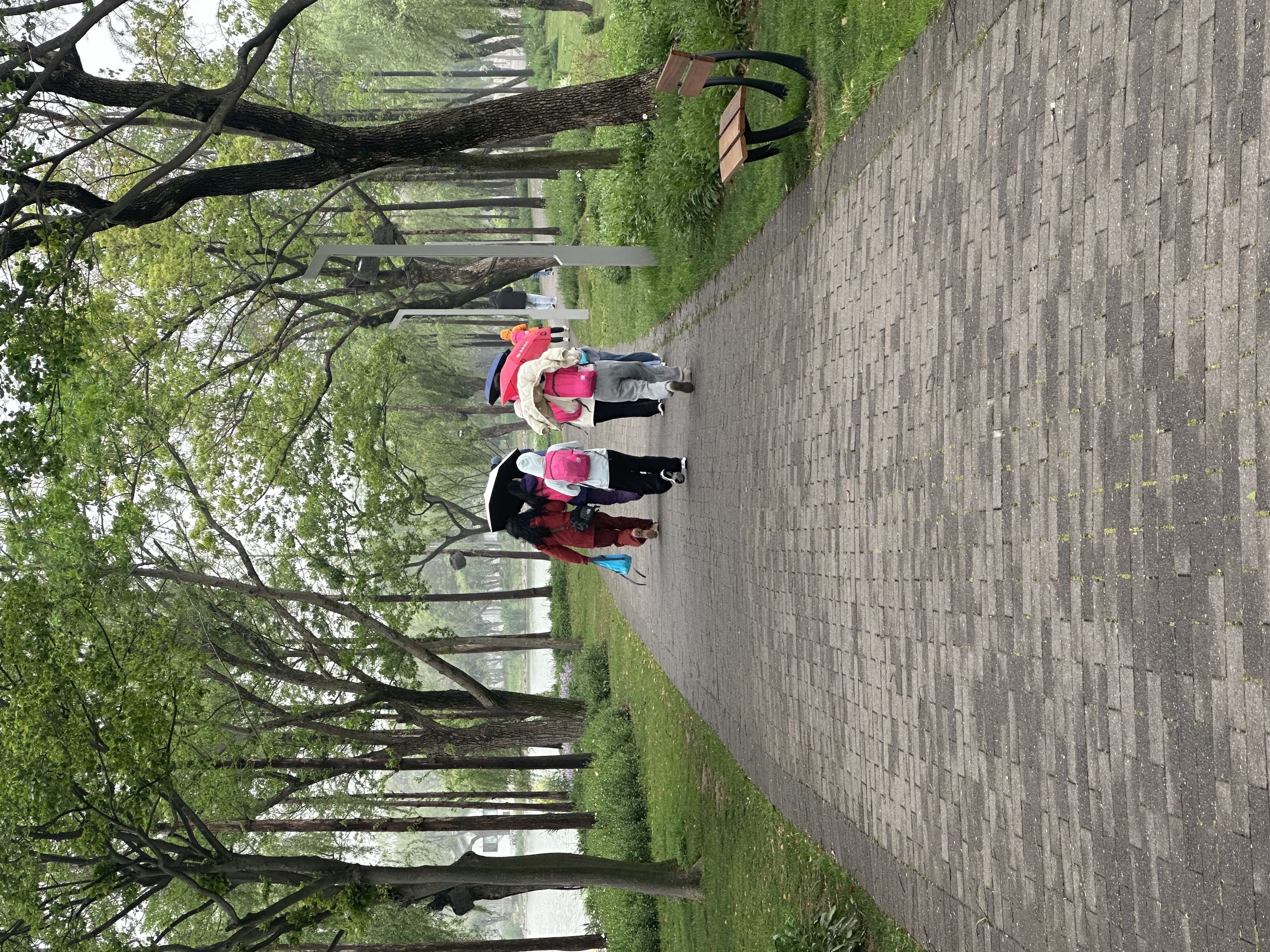 81be1fb3b7e210e5985f091954f1672.jpg